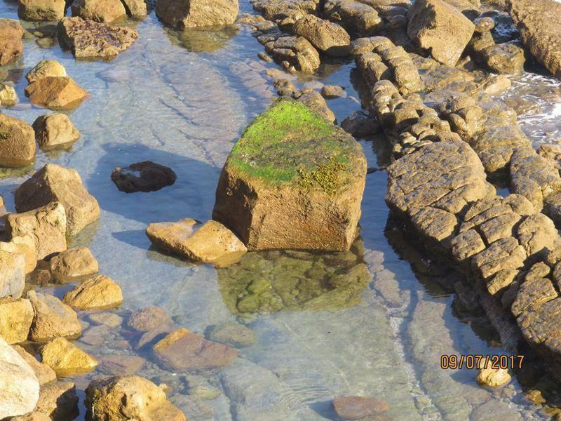 Estrela Do Mar - 100M Da Praia Peniche Dış mekan fotoğraf